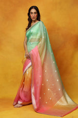 Over The Moonflower Organza Saree