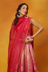 Dream In Dahlias Georgette Lehenga