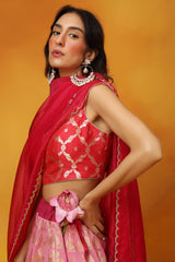 Dream In Dahlias Georgette Lehenga