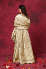 Mood for Marigold Tissue Lehenga