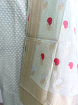 Pale Mint Chanderi Suit Set 16