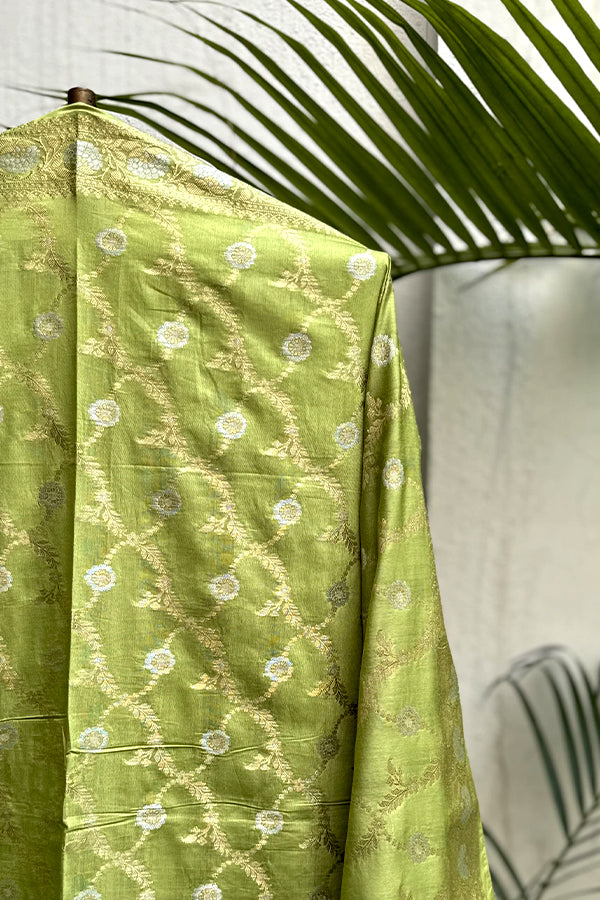 Parrot Green Munga Cotton Suit Set