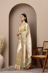 Sage Green Tissue Silk Saree